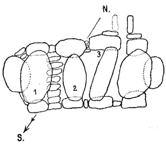 Grundriss nach Beltz