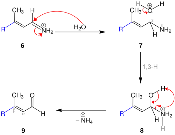 1,2-Additionsmechanismus der Benary-Reaktion, b