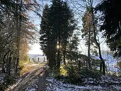 Wanderweg führt an der Quellmulde des Berger Baches vorbei