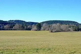 (5.) Rainen rechts und (8.) Bol links