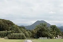 Baumgruppe in Maria Plain