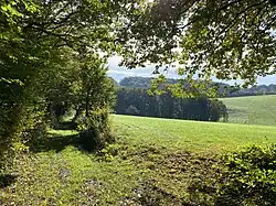 Berg. Panoramasteig bei Dahl