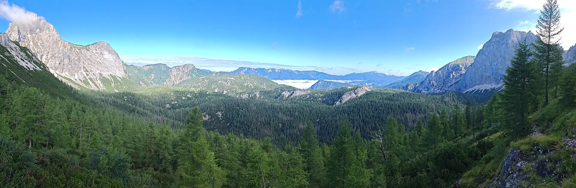 Perspektivisch verzerrte Panoramaaufnahme (Blickfeld ca. 180° weit) mittig aus der Nordflanke des Abrissgebietes. Die Berge links (Brandstein) und rechts (Griesstein) liegen einander im Abstand von ca. 3,5&nbsp;km gegenüber. Die bewaldeten Hügel mittig und mittig rechts sind abgerutschte Felsschollen (Schafwald), der sonnenbeschienene Rücken Brennach mittig links ist übersät mit aufgebrandetem Schuttmaterial. Hinten liegt unter Nebel das Salzatal. Eine Zunge des Schuttstroms reichte bis zur Ortschaft Fachwerk am Fuß des Bergmassivs im Hintergrund (Hochkar), die Luftlinie vom Standpunkt bis dorthin beträgt 10,7&nbsp;km.