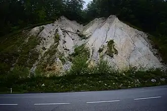 Bereich 4: Feinkörniger Schutt am östlichen Ortsende von Wildalpen (vgl. Gemälde im Abschnitt „Forschungsgeschichte“)