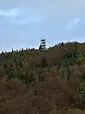 Turm von Beringen aus gesehen