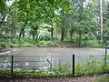 Ludwig-Lesser-Teich im Ludwig-Lesser-Park