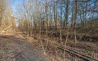 Überreste der Bahnsteiganlage, 2021