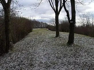 Auf der Bernhartshöhe