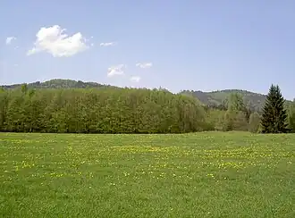 Medvědí hory - Bernsteiner Rücken von Südosten aus, links: Großer Fels, rechts: Eisenberg