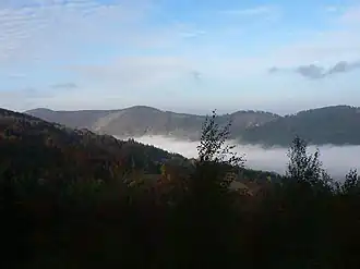 Bewaldeter Gipfelbereich