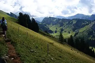 Quellgebiet und Tal des Grebenbachs