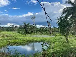 Bia-Tawaya-Nationalpark