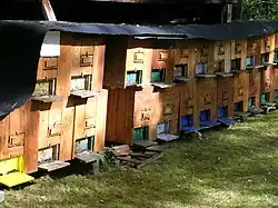 Bienenkästen aus Holz