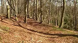 Mögliche Wallreste unterhalb des Steilhangs