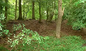 Wallrest der Bierder Burg