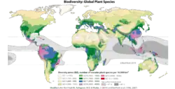 Die erste präzise Weltkarte der Biodiversität von Pflanzen (überarbeitete Fassung Barthlott et al. 2014) zeigt die geographische Verteilung der globalen terrestrischen Biodiversität