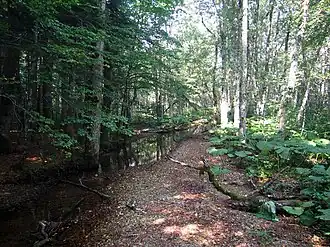 Nationalpark Biogradska Gora