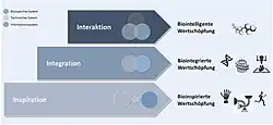 Es sind die Felder der Biologischen Transformation Interaktion, Integration und Inspiration dargestellt.