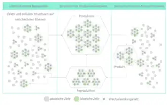 Es wird ein biointelligentes Produktionssystem anhand eines Modells beschrieben