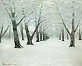 Tunnel of Trees in Winter. Privatsammlung