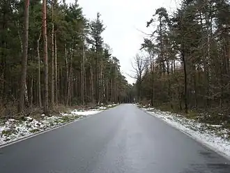 Der Riesenbecker Postweg auf dem Gipfel des Birgter Berges