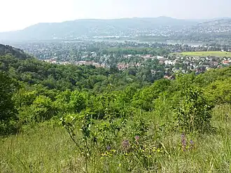 Blick vom Bisamberg Richtung Leopoldsberg und Kahlenberg