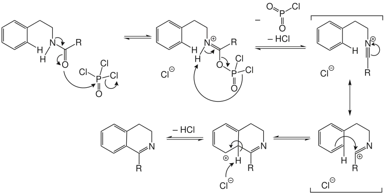 Variante 2 des Reaktionsmechanismus