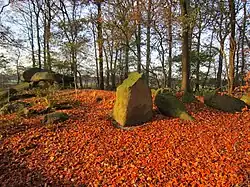 Großsteingrab Teufelssteine Bischofsbrück