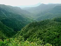 Black-River-Gorges-Nationalpark