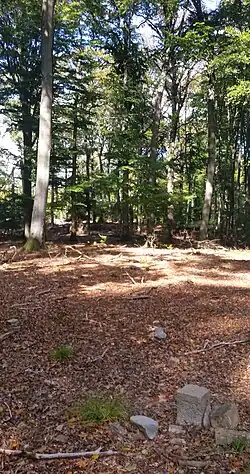 Gipfelbereich des Bleidenstadter Kopfs mit dem südlichen Triangulationspunkt, 2023