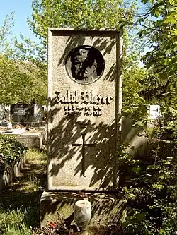 Jakob Bleyer, Minister für nationale Minderheiten 1919 bis 1920