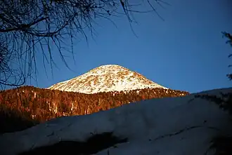 Leibniger Tor im Winter