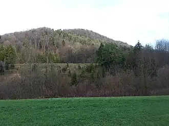 Blick von Westen auf den Honeret vom Reppischtal aus gesehen