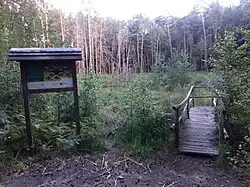 Blick auf das Saugartenmoor mit Informationstafel und Beobachtungssteg. August 2020