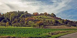 Blick auf den Hollacher Berg