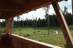 Blick auf einen Teil des ringförmigen Laufstegs im Moorerlebnisgebiet