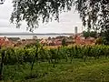 Blick vom Fürstenhäusle auf Meersburg