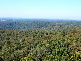 Mühlenberg (hintere Bildmitte) vom Luitpoldturm aus gesehen