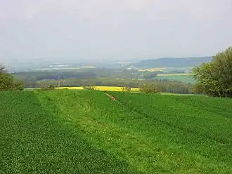 Blick vom Herkelstein in die Kölner Bucht
