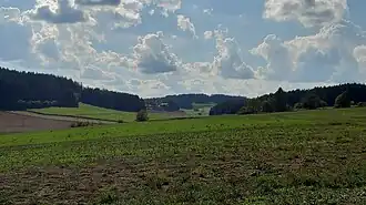 Blick von Baiergrün auf den Osthang des Rauhenbergs Anfang September