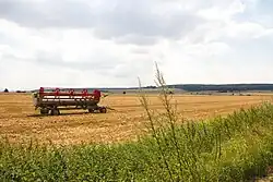 Blick von Ohrum auf den Oderwald