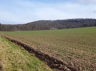 Blick von Völkershausen zur Hohen Schule Anfang März