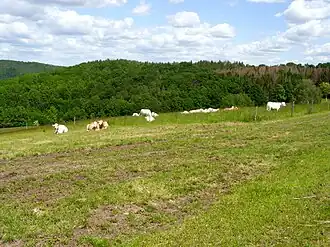 Blick von Südwesten