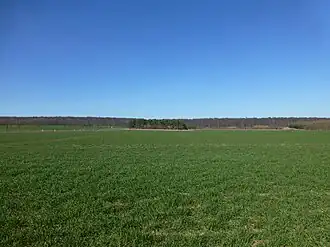 Blick von Keula zum Keulaer Wald
