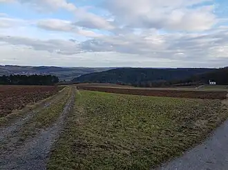 Blick von einer Wegkreuzung auf dem Stammberg in Richtung Taubertal (links) sowie in Richtung Brehmbachtal und Stammbergkapelle (rechts), 2018