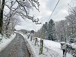 Der Blombach fließt im Einschnitt (rechts)