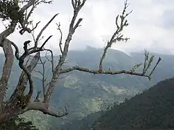 Blue und John Crow Mountains