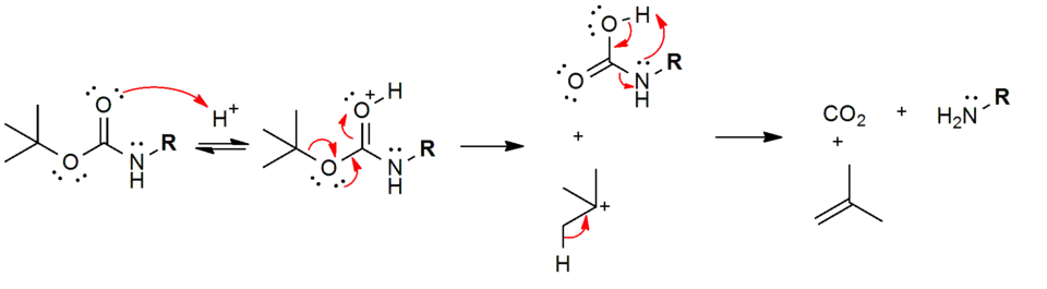 Abspaltungsmechanismus der Boc-Schutzgruppe