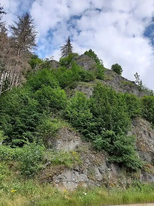 Westhang des Bockbergs