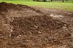 Eine steinzeitliche Freilandstation bei Börslingen, wie sie 2013 archäologisch erkundet und ausgegraben wurde